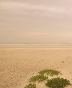 Warm Haze on the Beach I