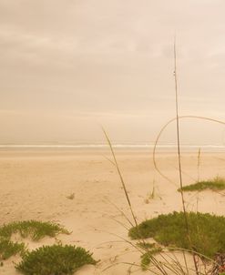 Warm Haze on the Beach II