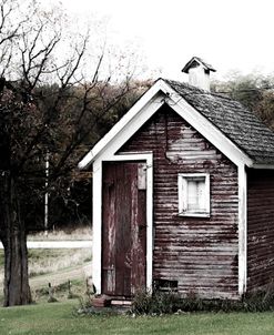 Tiny Shed