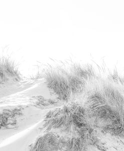 Grassy Dune