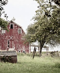 Late Summer Barn