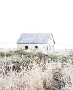 Misty Morning On The Plains