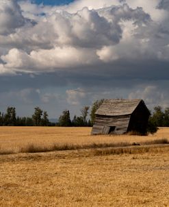 Windswept Barn