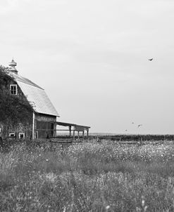 Wildflower Barn