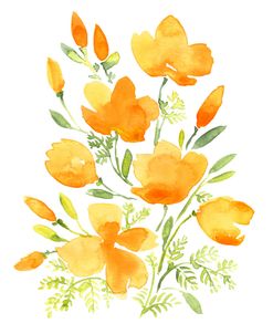 Bouquet Of Watercolor California Poppies
