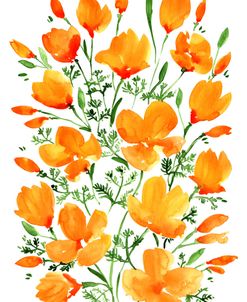 Watercolor California Poppies
