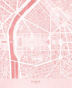 Pink Distressed Map Of Paris II