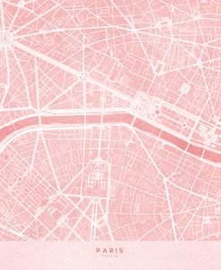 Pink Distressed Map Of Paris III