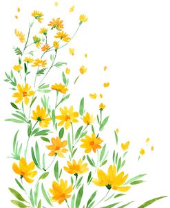 Yellow Watercolor Wildflowers