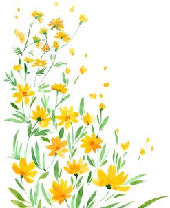 Yellow Watercolor Wildflowers