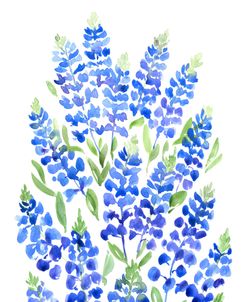 Watercolor Texas Bluebonnet Bouquet