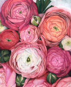 Arleth Warm Pink Ranunculus Bouquet