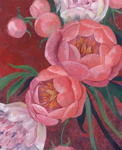 Nevaeh Peonies