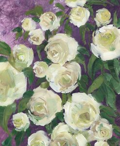 Noray Painterly Roses