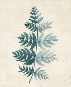 Watercolor Fern In Distressed Background 1
