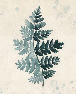 Watercolor Fern In Distressed Background 3