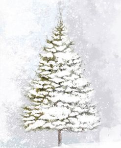 Lone Fir In The Snow