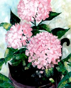 Potted Pink Hydrangeas