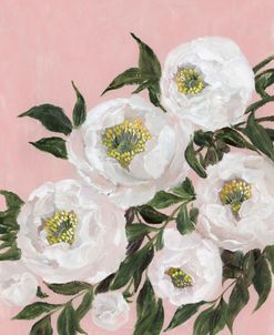 Evadne Peonies On Blush