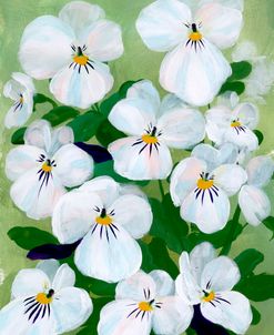 Vesta Pansies II