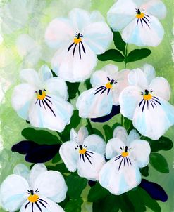 Vesta Pansies I