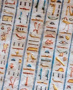 Egyptian Hieroglyphs Color