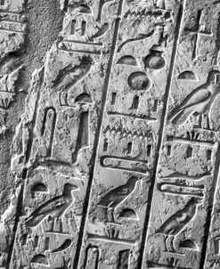 Egyptian Hieroglyphs Distressed