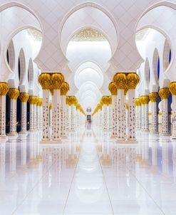 Sheikh Zayed Mosque Columns