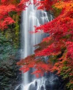 Minoo Falls In Autumn