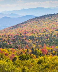 Autumn In Vermont