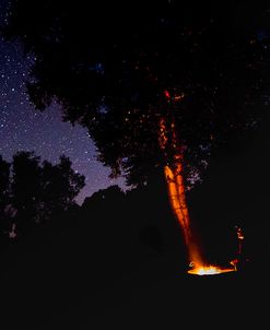 Campfire Under The Meteors