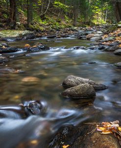 Chase Brook