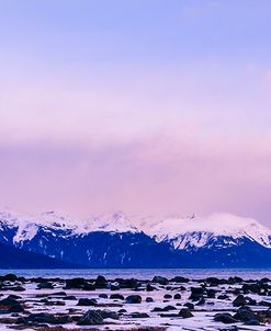 Frozen Shoreline