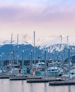 Harbor In Haines