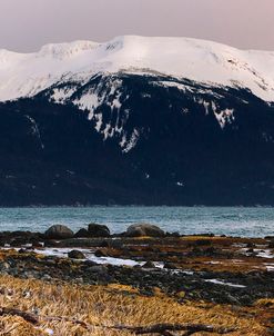 Grassy Shore