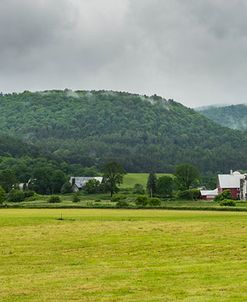 Local Farm