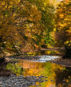 Meandering Colors