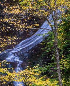 Moss Glen Falls In Autumn