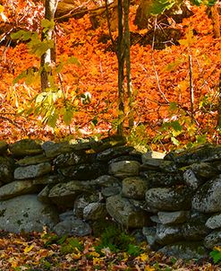 Old Rock Wall