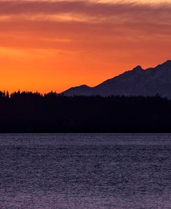 Olympic Mountain Sunset