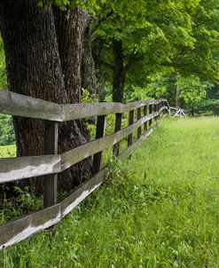 Split Rail Fence