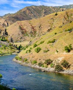 Water Through The Arid Wilderness