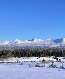 Winter Wilderness