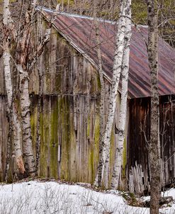 Sharon Barn