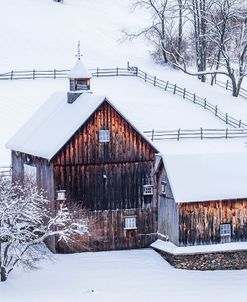 Snow Day on the Farm