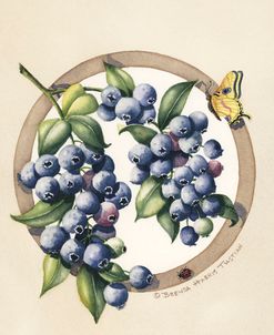 Blueberries