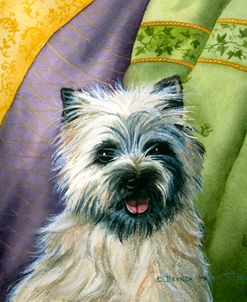 Cairn Terrier