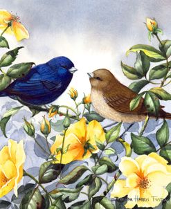 Indigo Bunting