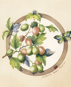 Gooseberries