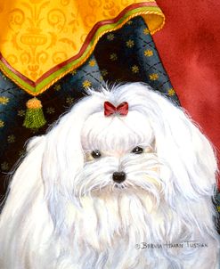 Maltese